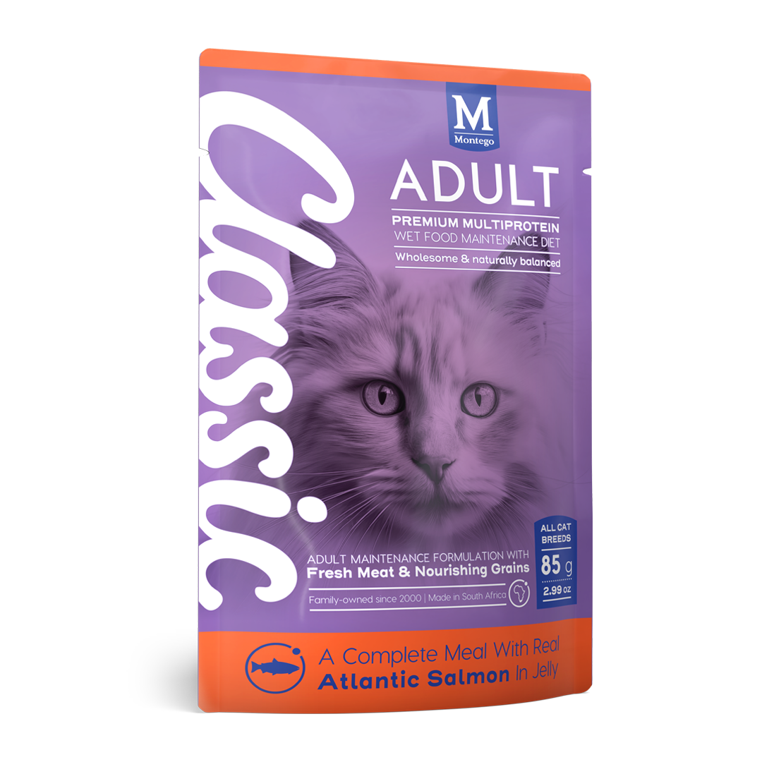 Adult Cat with Real Atlantic Salmon in Jelly