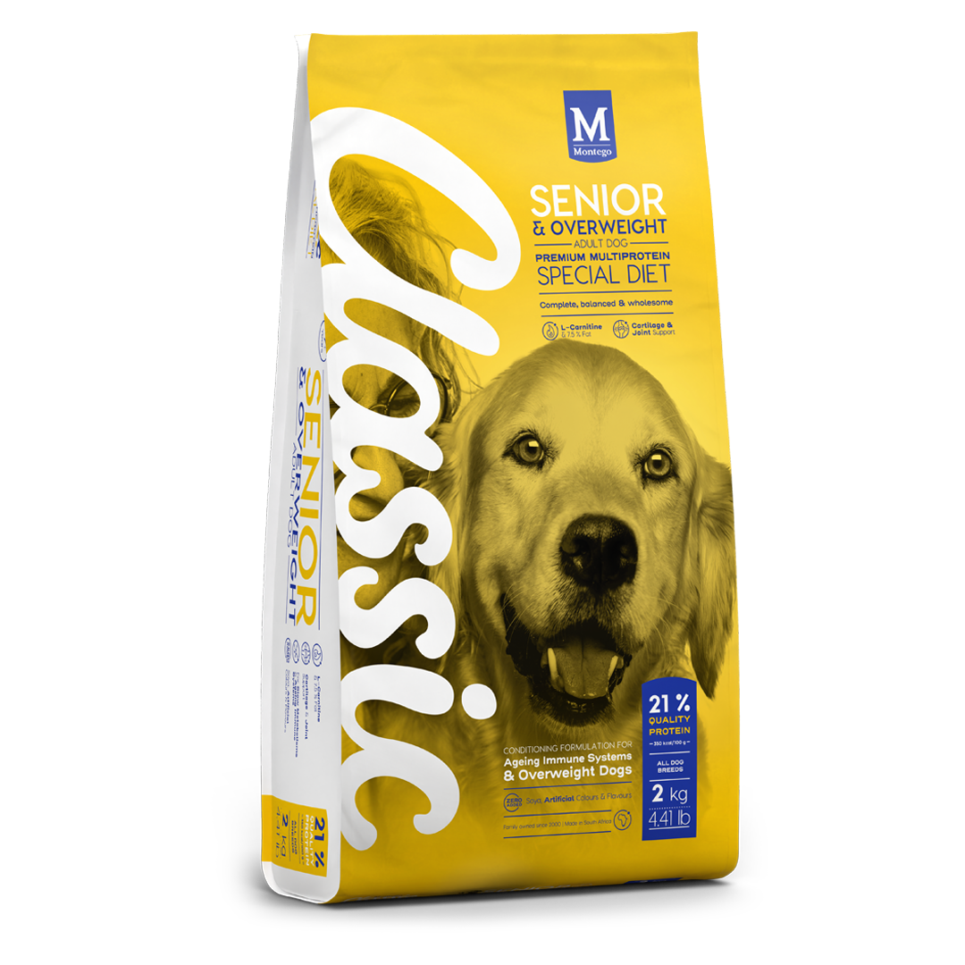 Senior Dog