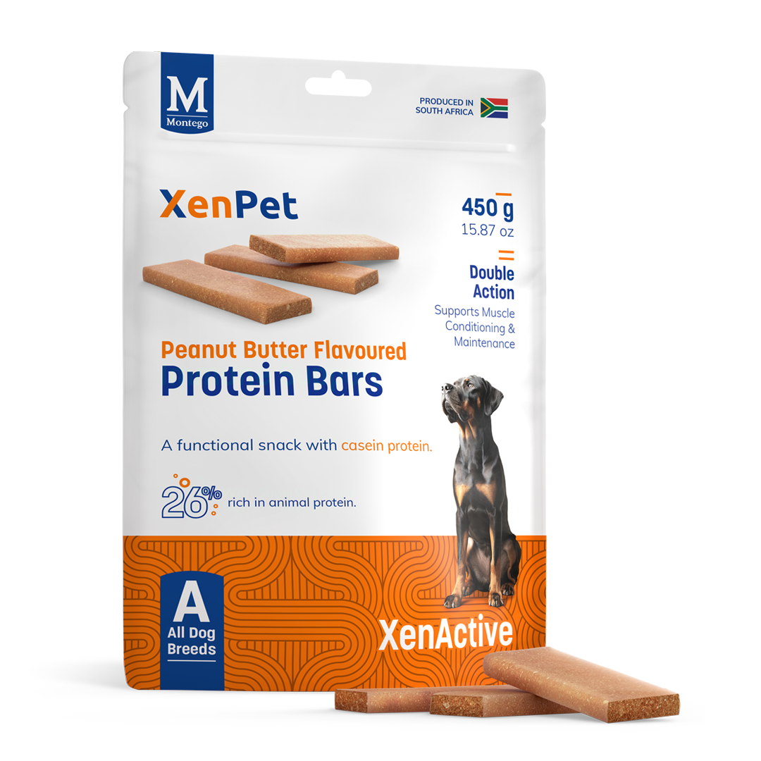 Peanut Butter Protein Bars