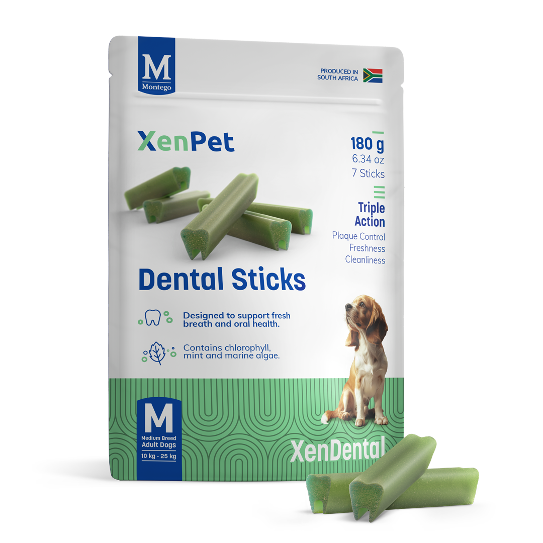 Dental Sticks