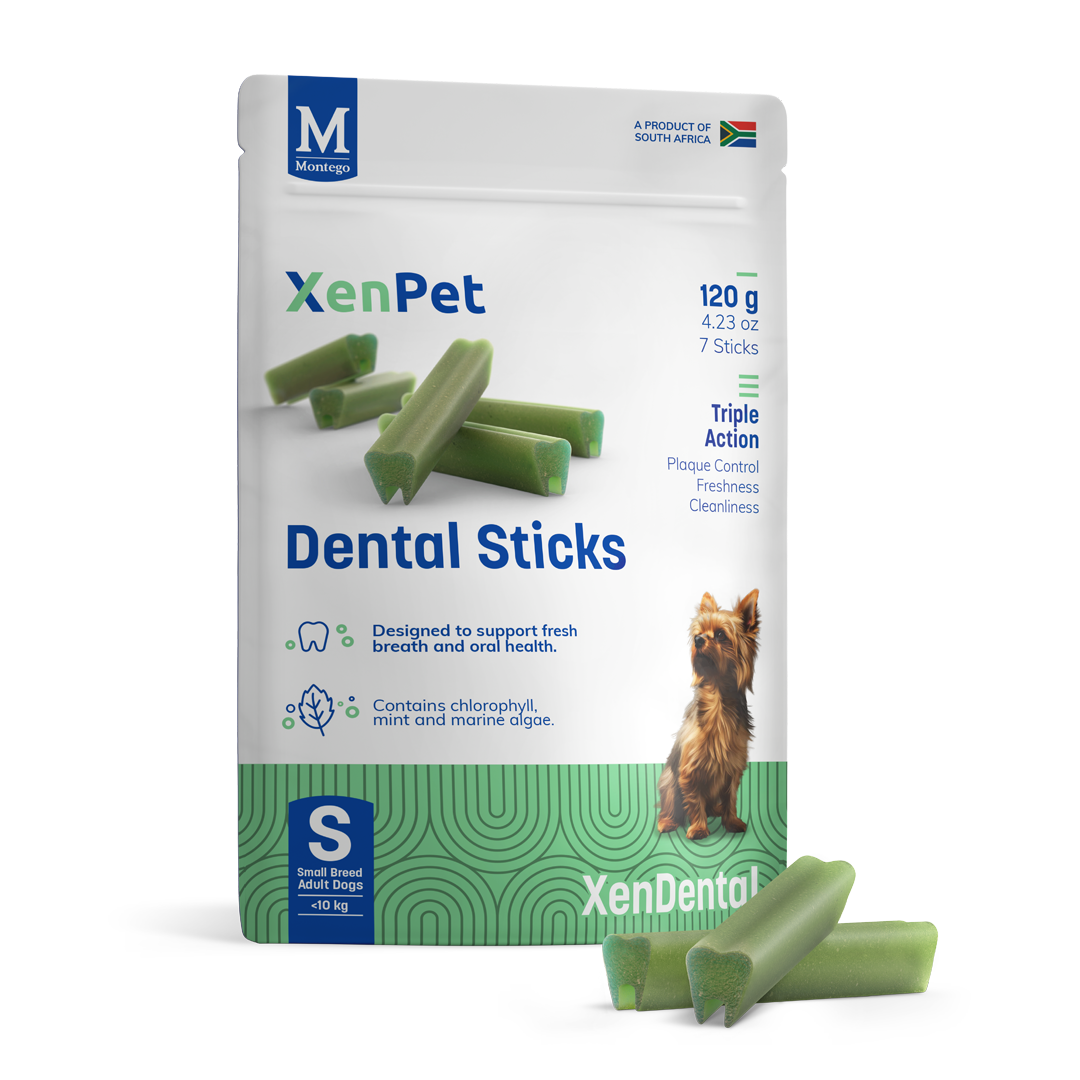 Dental Sticks