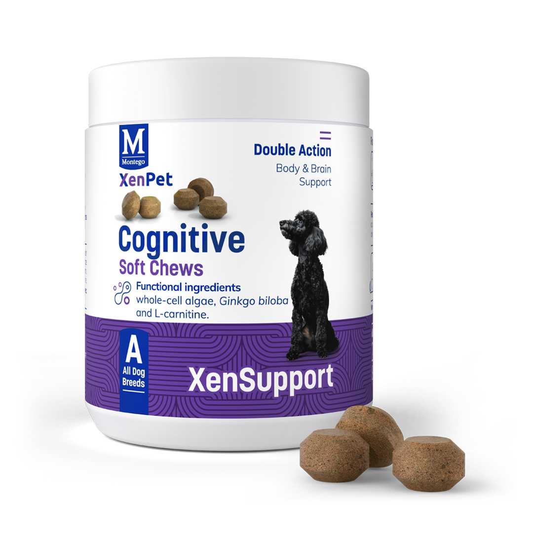 Cognitive Chews